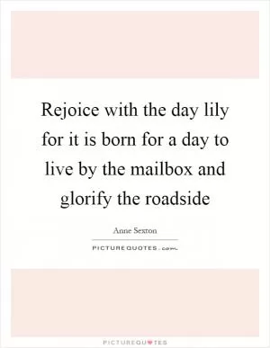 Rejoice with the day lily for it is born for a day to live by the mailbox and glorify the roadside Picture Quote #1