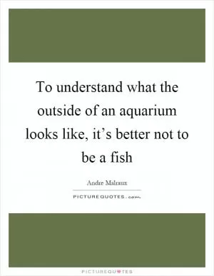 To understand what the outside of an aquarium looks like, it’s better not to be a fish Picture Quote #1
