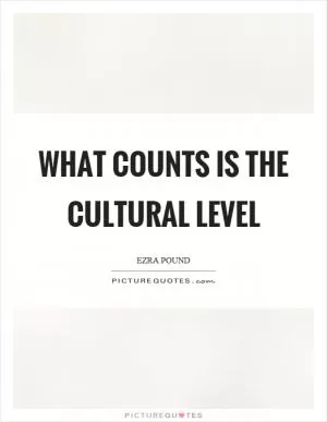 What counts is the cultural level Picture Quote #1