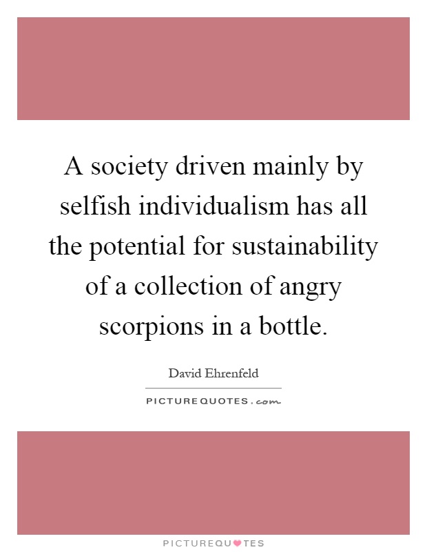 A society driven mainly by selfish individualism has all the potential for sustainability of a collection of angry scorpions in a bottle Picture Quote #1