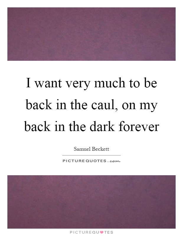 I want very much to be back in the caul, on my back in the dark forever Picture Quote #1