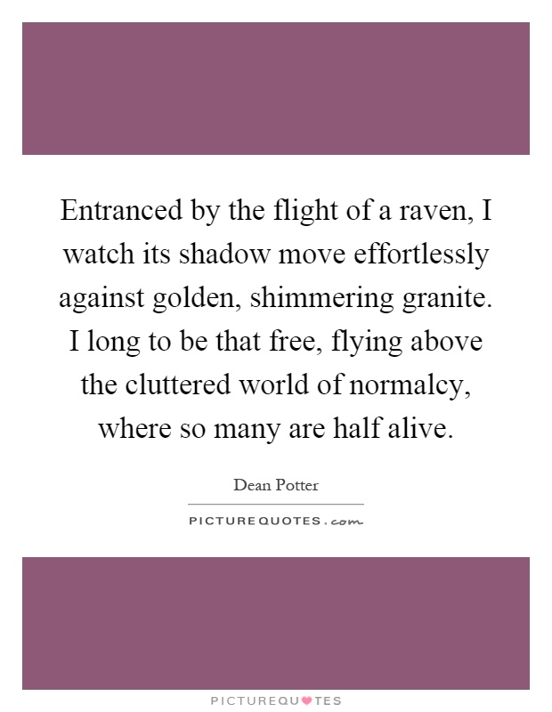 Entranced by the flight of a raven, I watch its shadow move effortlessly against golden, shimmering granite. I long to be that free, flying above the cluttered world of normalcy, where so many are half alive Picture Quote #1