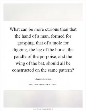 What can be more curious than that the hand of a man, formed for grasping, that of a mole for digging, the leg of the horse, the paddle of the porpoise, and the wing of the bat, should all be constructed on the same pattern? Picture Quote #1