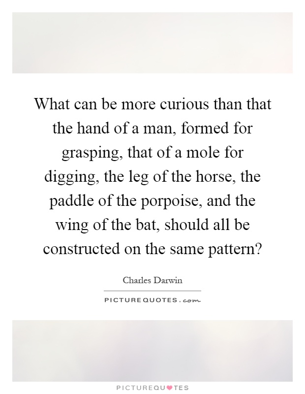 What can be more curious than that the hand of a man, formed for grasping, that of a mole for digging, the leg of the horse, the paddle of the porpoise, and the wing of the bat, should all be constructed on the same pattern? Picture Quote #1