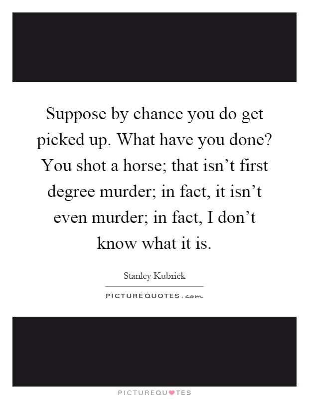 Suppose by chance you do get picked up. What have you done? You shot a horse; that isn't first degree murder; in fact, it isn't even murder; in fact, I don't know what it is Picture Quote #1