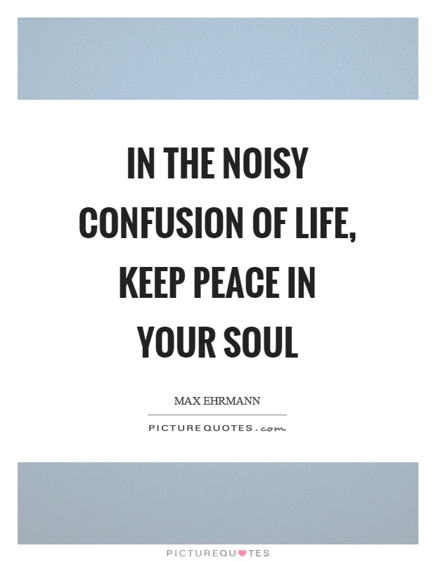 In the noisy confusion of life, keep peace in your soul Picture Quote #1