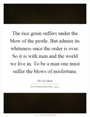 The rice grain suffers under the blow of the pestle. But admire its whiteness once the order is over. So it is with men and the world we live in. To be a man one must suffer the blows of misfortune Picture Quote #1