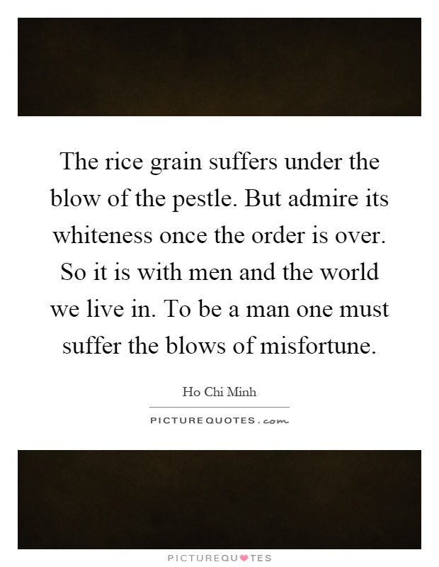 The rice grain suffers under the blow of the pestle. But admire its whiteness once the order is over. So it is with men and the world we live in. To be a man one must suffer the blows of misfortune Picture Quote #1