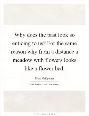 Why does the past look so enticing to us? For the same reason why from a distance a meadow with flowers looks like a flower bed Picture Quote #1