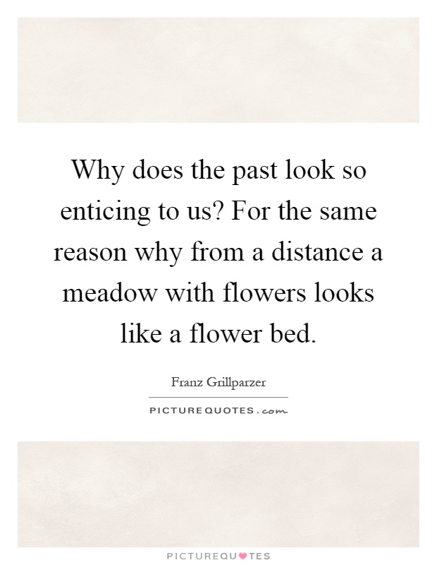 Why does the past look so enticing to us? For the same reason why from a distance a meadow with flowers looks like a flower bed Picture Quote #1