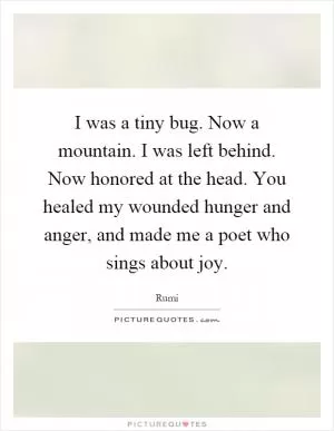 I was a tiny bug. Now a mountain. I was left behind. Now honored at the head. You healed my wounded hunger and anger, and made me a poet who sings about joy Picture Quote #1