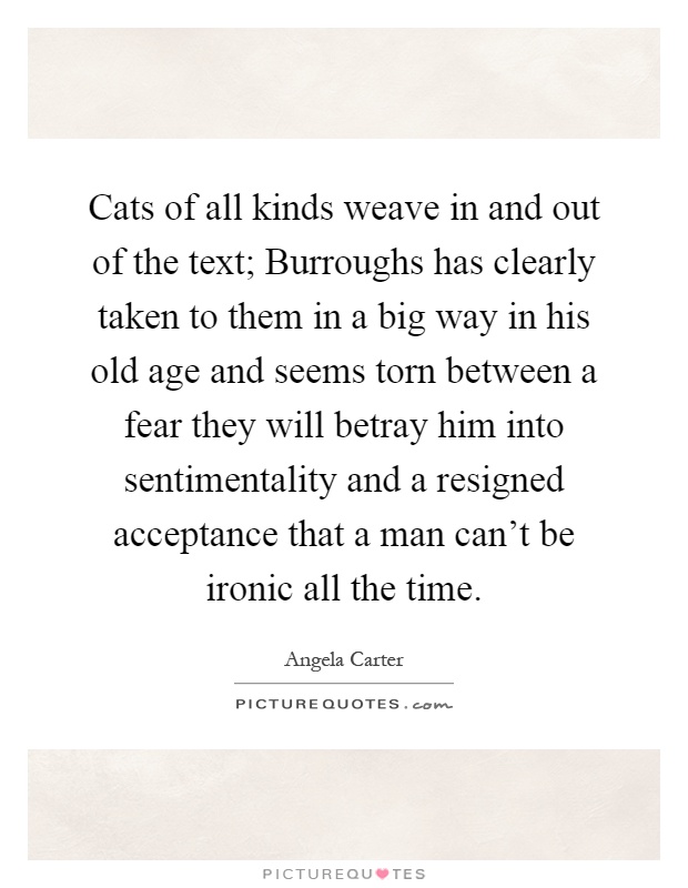 Cats of all kinds weave in and out of the text; Burroughs has clearly taken to them in a big way in his old age and seems torn between a fear they will betray him into sentimentality and a resigned acceptance that a man can't be ironic all the time Picture Quote #1
