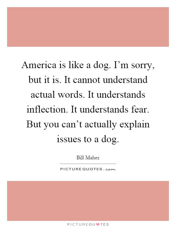 America is like a dog. I'm sorry, but it is. It cannot understand actual words. It understands inflection. It understands fear. But you can't actually explain issues to a dog Picture Quote #1