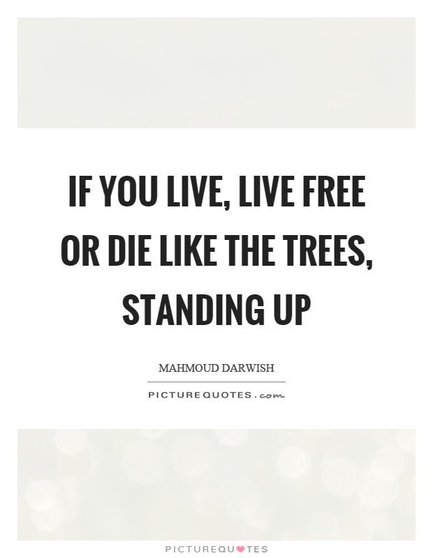 If you live, live free or die like the trees, standing up Picture Quote #1
