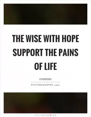 The wise with hope support the pains of life Picture Quote #1