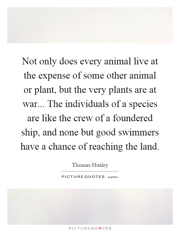 Not only does every animal live at the expense of some other animal or plant, but the very plants are at war... The individuals of a species are like the crew of a foundered ship, and none but good swimmers have a chance of reaching the land Picture Quote #1