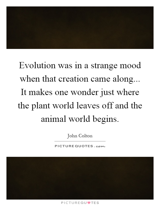 Evolution was in a strange mood when that creation came along... It makes one wonder just where the plant world leaves off and the animal world begins Picture Quote #1