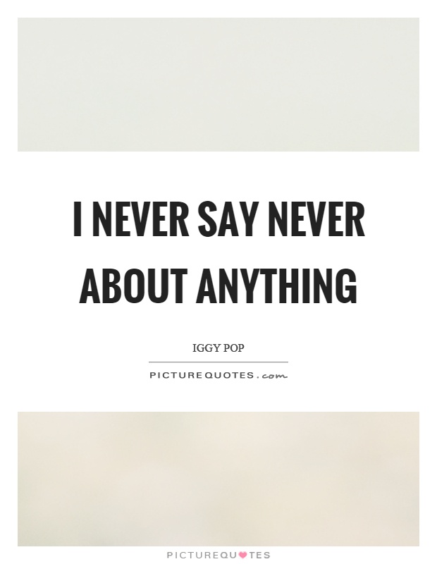 I never say never about anything Picture Quote #1