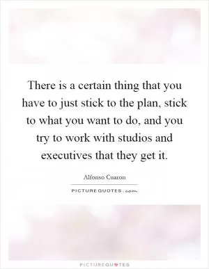 There is a certain thing that you have to just stick to the plan, stick to what you want to do, and you try to work with studios and executives that they get it Picture Quote #1