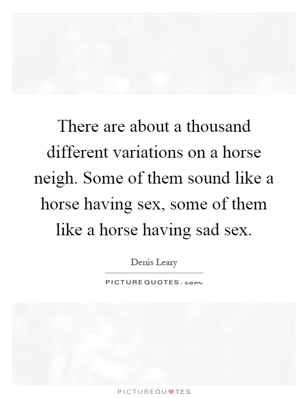 There are about a thousand different variations on a horse neigh. Some of them sound like a horse having sex, some of them like a horse having sad sex Picture Quote #1