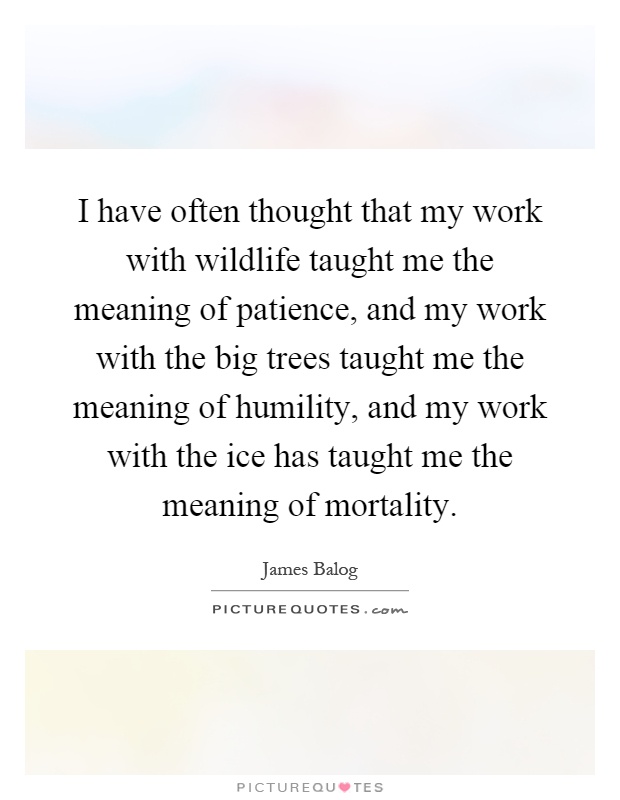 I have often thought that my work with wildlife taught me the meaning of patience, and my work with the big trees taught me the meaning of humility, and my work with the ice has taught me the meaning of mortality Picture Quote #1