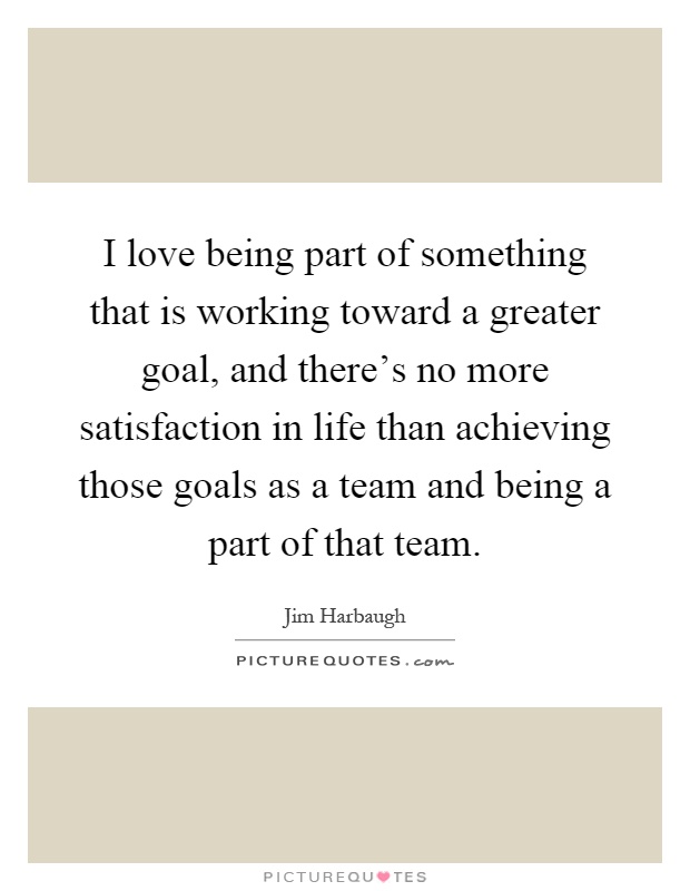 I love being part of something that is working toward a greater goal, and there's no more satisfaction in life than achieving those goals as a team and being a part of that team Picture Quote #1