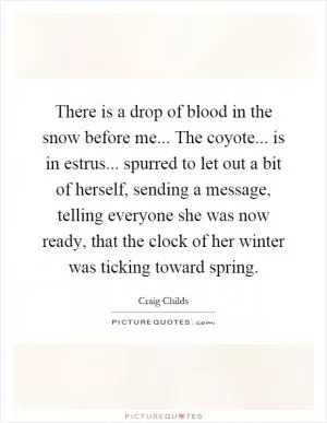 There is a drop of blood in the snow before me... The coyote... is in estrus... spurred to let out a bit of herself, sending a message, telling everyone she was now ready, that the clock of her winter was ticking toward spring Picture Quote #1