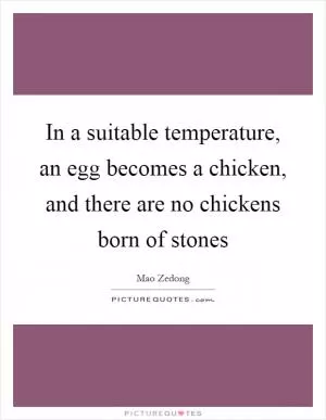 In a suitable temperature, an egg becomes a chicken, and there are no chickens born of stones Picture Quote #1