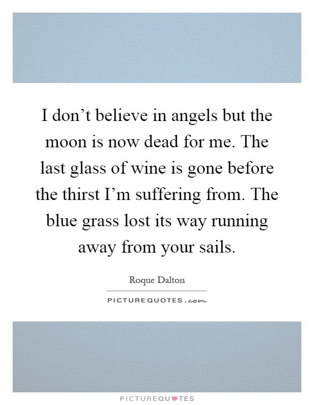 I don't believe in angels but the moon is now dead for me. The last glass of wine is gone before the thirst I'm suffering from. The blue grass lost its way running away from your sails Picture Quote #1