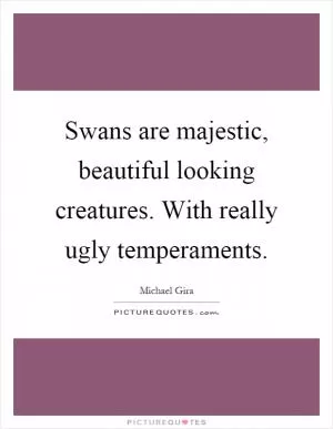 Swans are majestic, beautiful looking creatures. With really ugly temperaments Picture Quote #1