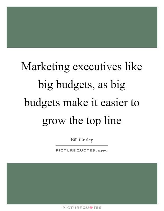 Marketing executives like big budgets, as big budgets make it easier to grow the top line Picture Quote #1