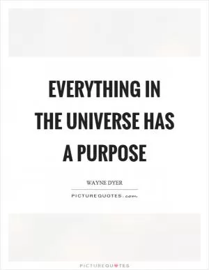 Everything in the universe has a purpose Picture Quote #1