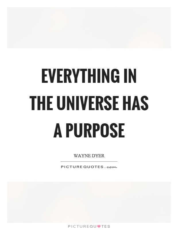 Everything in the universe has a purpose Picture Quote #1