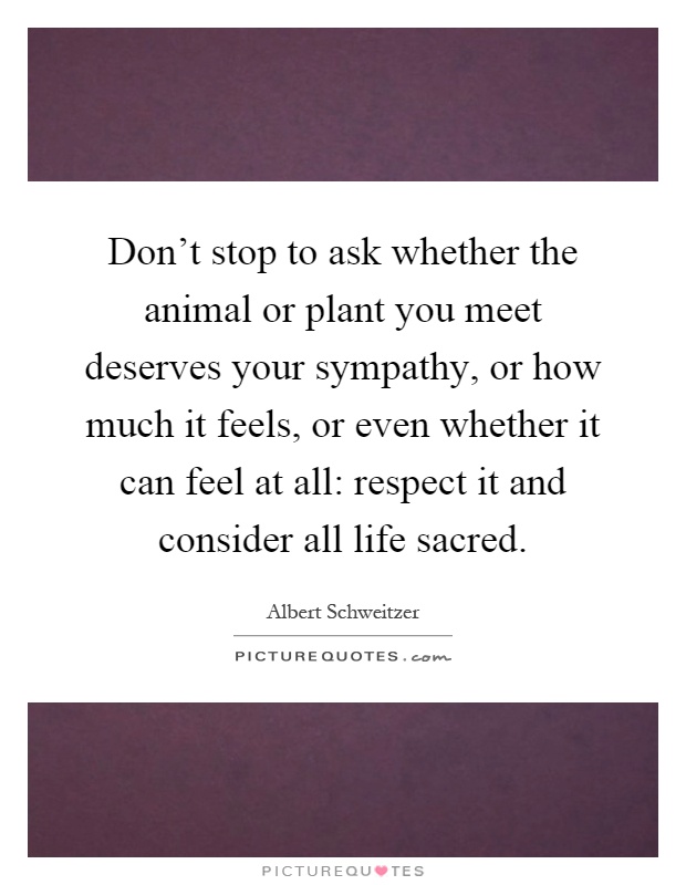 Don't stop to ask whether the animal or plant you meet deserves your sympathy, or how much it feels, or even whether it can feel at all: respect it and consider all life sacred Picture Quote #1