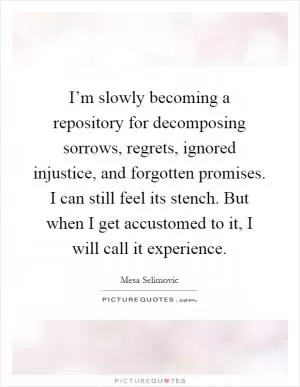 I’m slowly becoming a repository for decomposing sorrows, regrets, ignored injustice, and forgotten promises. I can still feel its stench. But when I get accustomed to it, I will call it experience Picture Quote #1