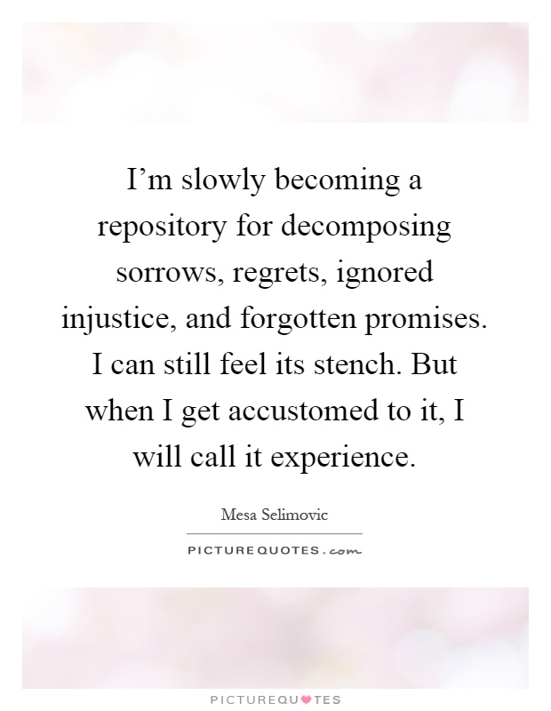 I'm slowly becoming a repository for decomposing sorrows, regrets, ignored injustice, and forgotten promises. I can still feel its stench. But when I get accustomed to it, I will call it experience Picture Quote #1