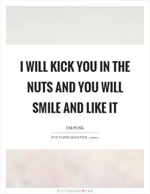 I will kick you in the nuts and you will smile and like it Picture Quote #1