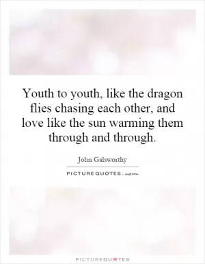 Youth to youth, like the dragon flies chasing each other, and love like the sun warming them through and through Picture Quote #1