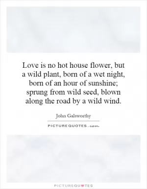 Love is no hot house flower, but a wild plant, born of a wet night, born of an hour of sunshine; sprung from wild seed, blown along the road by a wild wind Picture Quote #1