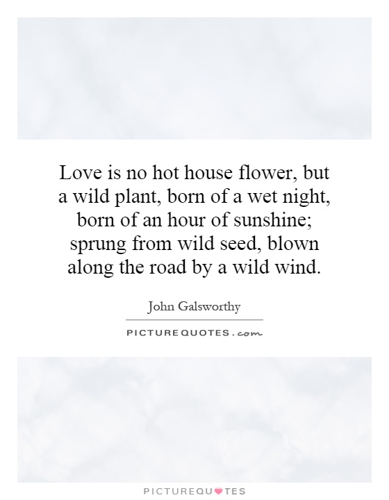 Love is no hot house flower, but a wild plant, born of a wet night, born of an hour of sunshine; sprung from wild seed, blown along the road by a wild wind Picture Quote #1