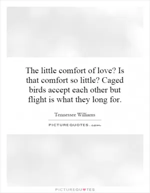 The little comfort of love? Is that comfort so little? Caged birds accept each other but flight is what they long for Picture Quote #1
