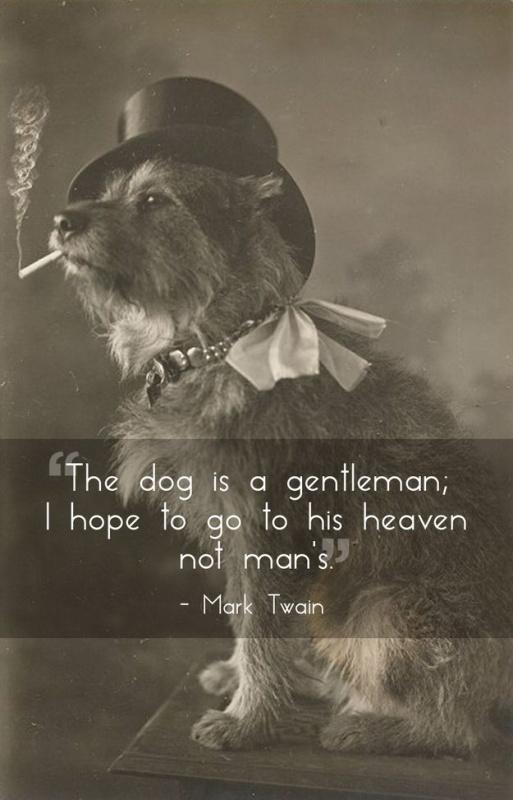 The dog is a gentleman; I hope to go to his heaven, not man's Picture Quote #1