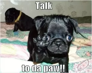 Talk to da paw! Picture Quote #1