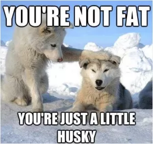 You're not fat, you're just a little husky Picture Quote #1