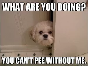 What are you doing? You can't pee without me Picture Quote #1