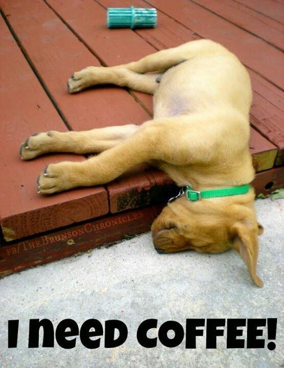 I need coffee! Picture Quote #1