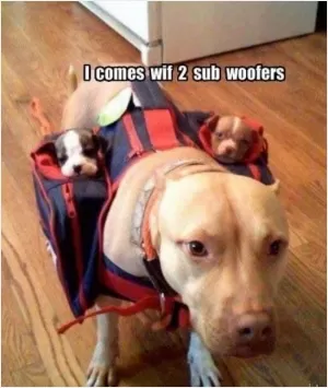 I comes with 2 sub woofers Picture Quote #1