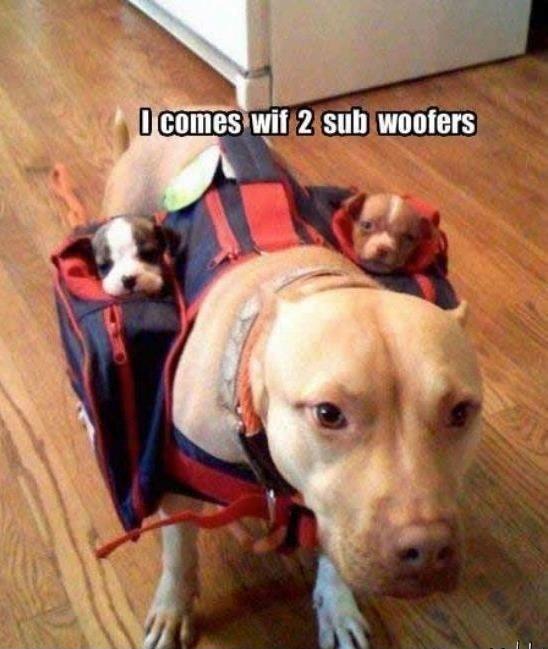 I comes with 2 sub woofers Picture Quote #1