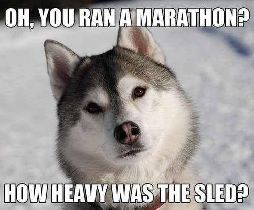 Oh, you ran a marathon? How heavy was the sled? Picture Quote #1