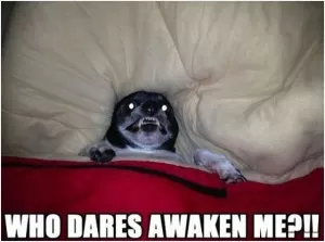 Who dares awaken me?!! Picture Quote #1